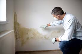 Best Asbestos and Lead Testing During Mold Inspection  in Lovington, NM